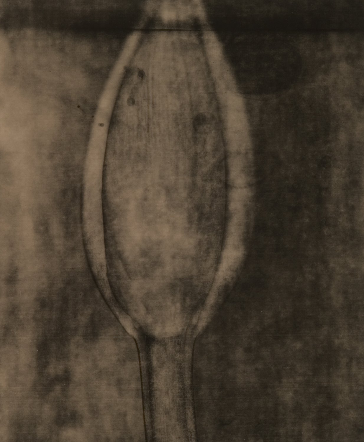 z cyklu bez tytułu, nr neg. 714/7